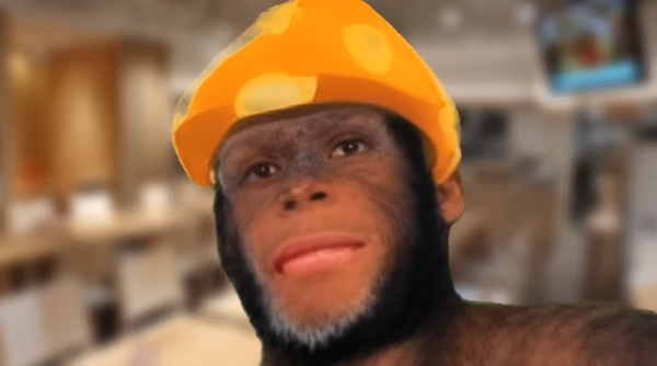 식당 비유: 당신이 알고 싶었던 것보다 훨씬 더 많은 것